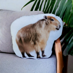 Poduszka kapibara przytulanka kapibara maskotka z kapibarą