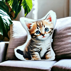 Poduszka z kotem maskotka kot przytulanka kotek