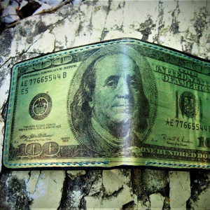 Portfel - Dollar