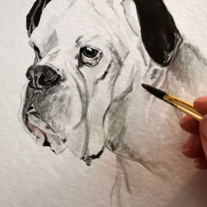 Portret psa, format A4