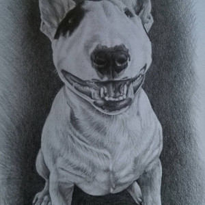 Portret zwierzaka ręcznie rysowany ołówkiem, format A4