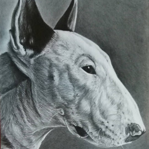 Portret zwierzaka, ręcznie rysowany ołówkiem, format A5
