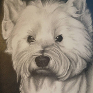 Portret zwierzaka ręcznie rysowany ołówkiem ze zdjęcia, format A3