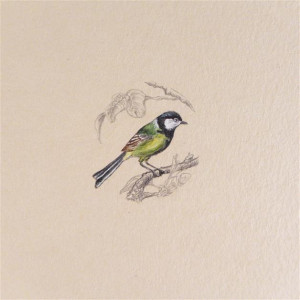 Ptak Sikorka Bogatka, miniatura ręcznie malowana