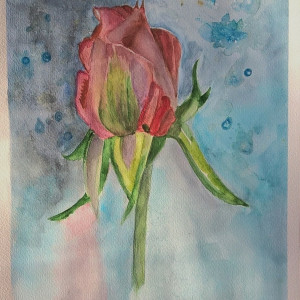 Róża , akwarela. Format A4/21x29,7 cm