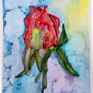Róża I , akwarela. Format 24x32 cm