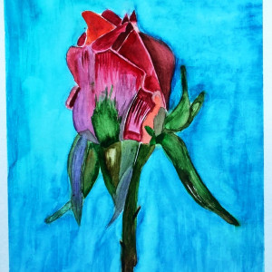 Róża II , akwarela. Format 24x32 cm