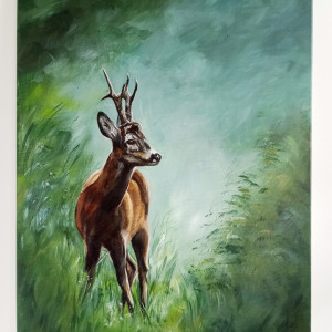 Sarna kozioł obraz na płótnie 50x70cm