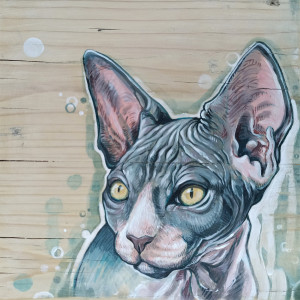 Sfinks, portret kota na drewnie