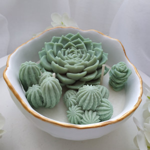 Świeca  sojowa z kaktusami