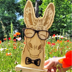 Szczęśliwy osiołek z kolekcji "WEGAŃSCY PRZYJACIELE"