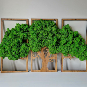 Tryptyk mech chrobotek klon jasny brąz