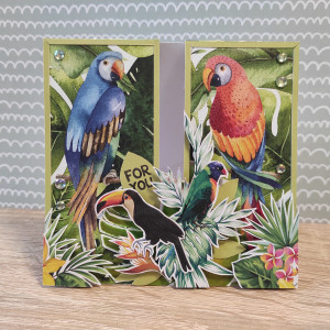 Urodzinowa kartka z papugami #3