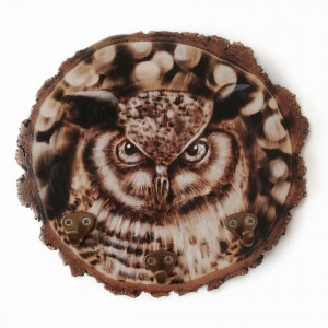 Wieszak na klucze, biżuterię. Sowa. Pirografia.