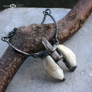 Zęby dzika z kryształem