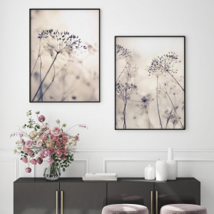 Zestaw plakatów - Łąka  (set241)