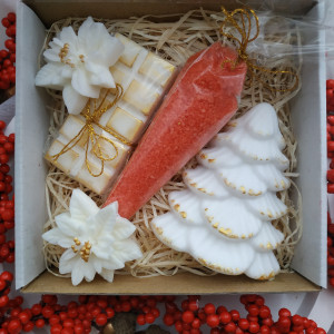 Zestaw prezentowy Mikołajki III.