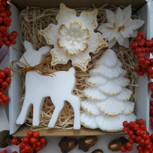 Zestaw prezentowy Mikołajki V.