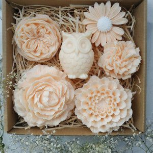 Zestaw prezentowy z sową dla nauczyciela, Dzień Nauczyciela.