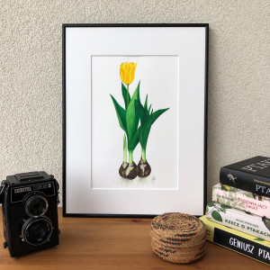Zielnik "Tulipan" obraz akwarelowy