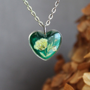 Zielone serce zielona gipsówka suszony kwiat
