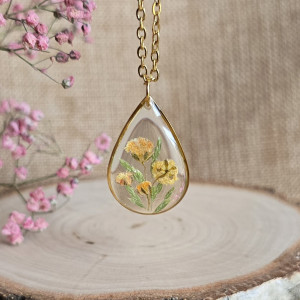 Złota łezka kwiaty gipsówka kwiat żółta złoty