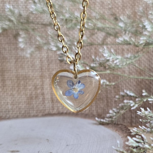 Złote serce niezapominajki