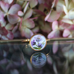 Złoty pierścionek smagliczka różowa fiolet