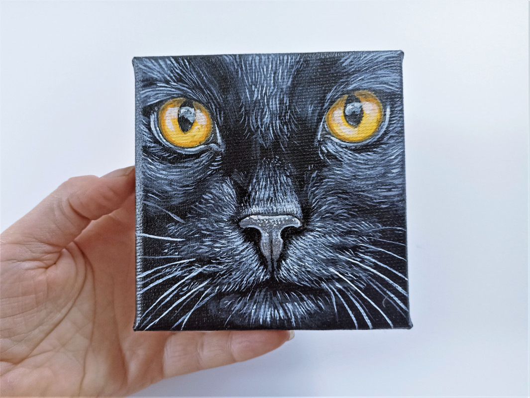 Czarny kot - kwadratowy obraz 10x10cm, akryl_photo1