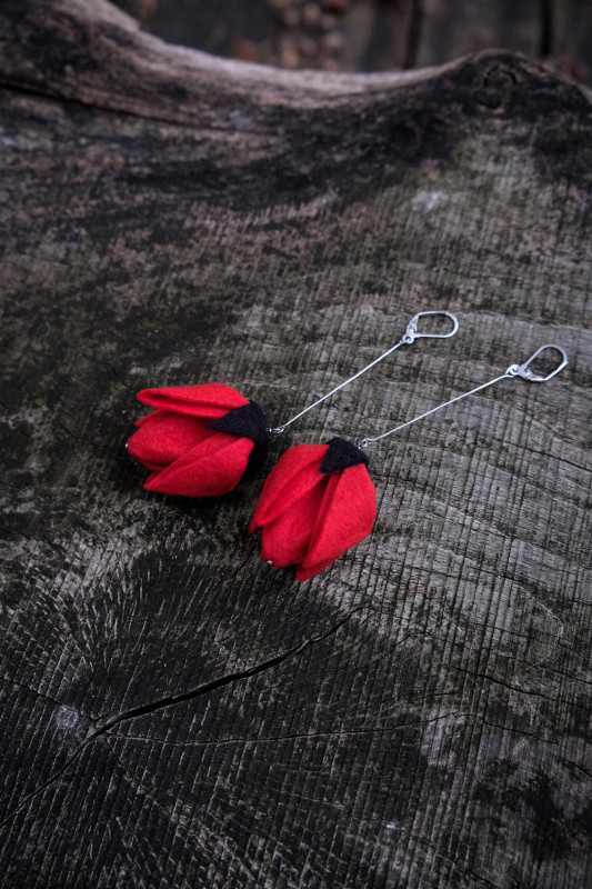 Czerwone Tulipany długo-cięte Premium_photo1