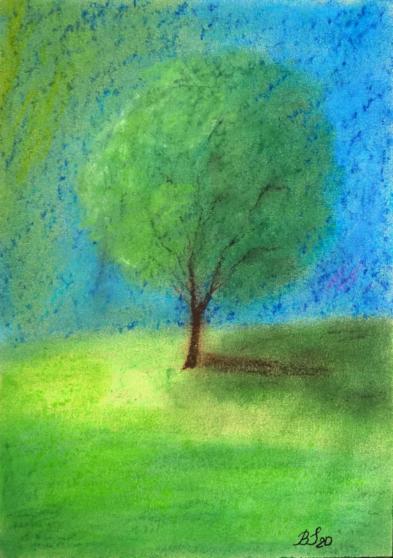Drzewko narysowane  past suchymi, wym 14,8x21 cm._photo1