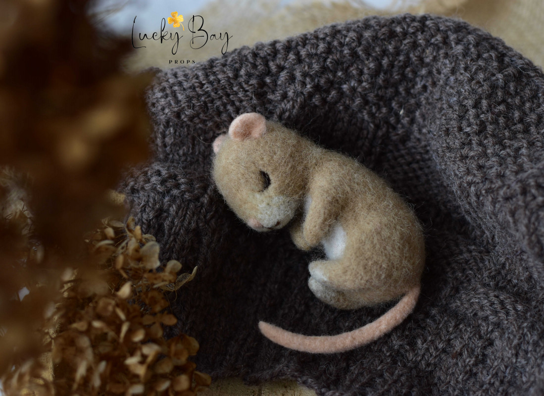 Filcowana myszka beżowa | LuckyBay Props_photo1
