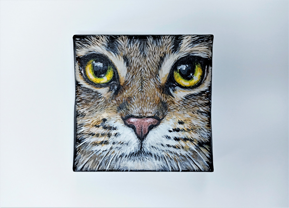 Kot - kwadratowy obraz 10x10cm, akryl_photo1