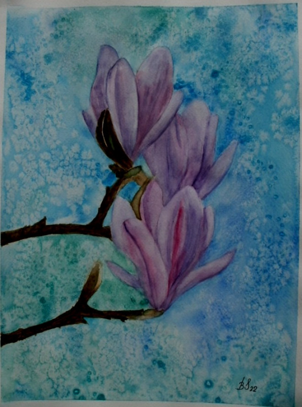 Kwiaty magnolii, akwarela. Format   24x32 cm._photo1