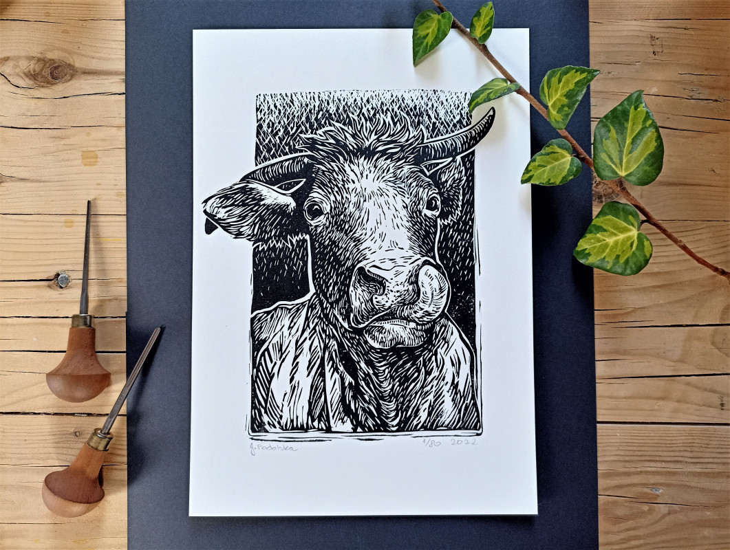 linoryt - portret krowy, byka_photo1