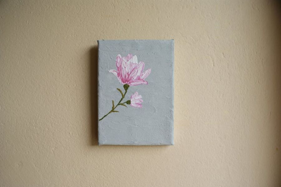 mały obraz- magnolia_photo1