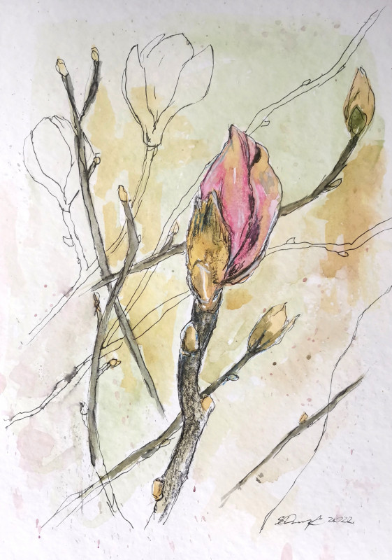 Pąki magnolii, obraz, akwarela oryginalna a4_photo1