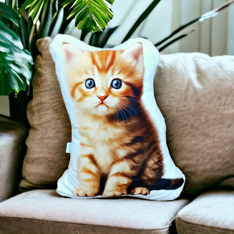 Poduszka z kotkiem przytulanka kot maskotka kotek_photo1