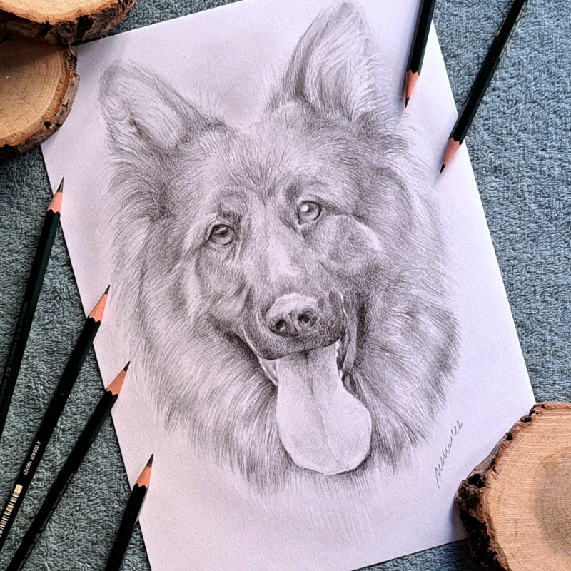 Portret zwierzaka wykonany ołówkami_photo1