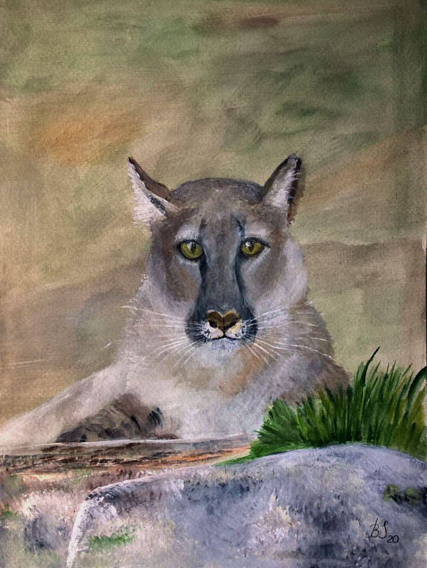 Puma, akwarela.  Format 18x24 cm_photo1