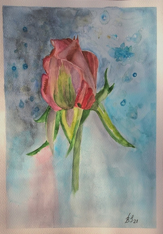 Róża , akwarela. Format A4/21x29,7 cm_photo1