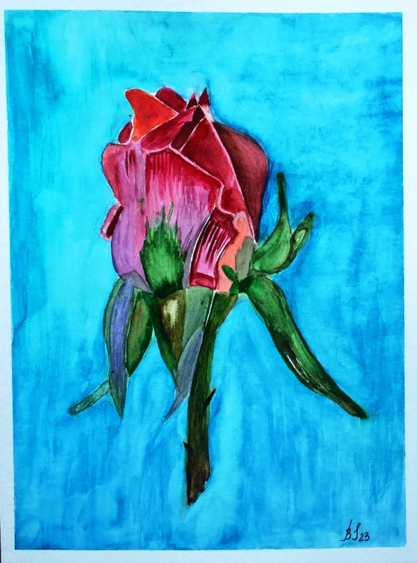 Róża II , akwarela. Format 24x32 cm_photo1