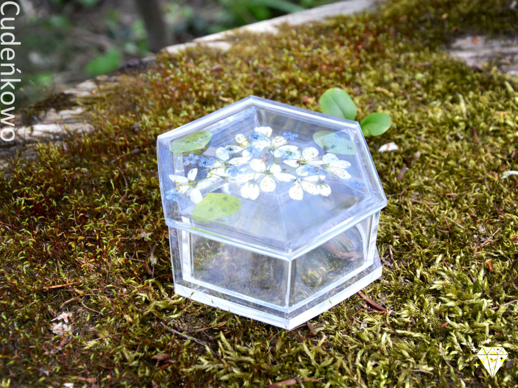Zatopek szkatułka białe kwiaty, niezapominajki_photo1